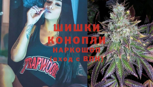 ГАЛЛЮЦИНОГЕННЫЕ ГРИБЫ Алзамай