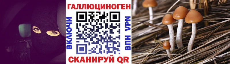 Псилоцибиновые грибы Magic Shrooms  Арамиль 